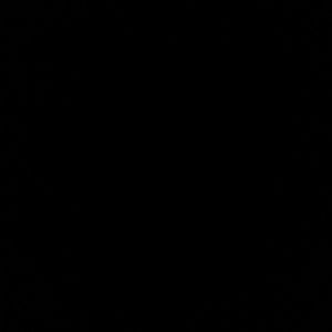 Meet your Posher, Rigaud